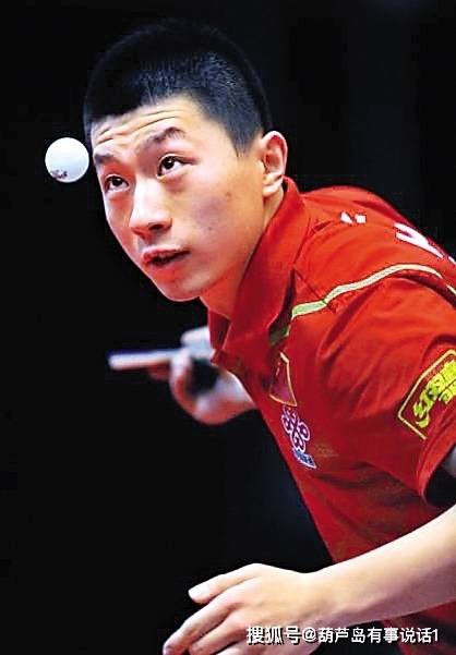 将为观众提 将为观众提